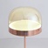 Торшер розовое золото Virella, 24*135 см, LED, металл, 10 Вт