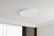 Потолочные светильники LED: как выбрать тип под задачу и потолок