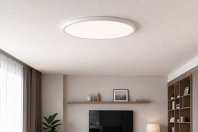 Потолочные LED-светильники по типам: накладные, встраиваемые, линейные, кольцевые и панели для разных помещений