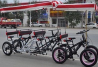 Велорикша Aerlyn 290*130*90 см, 600 кг, 8 место, 170 кг