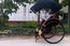 Велорикша Trike 170*120*80 см, максимальная нагрузка 220 кг, вес 130 кг, китайская сборка