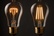 Лампы в стиле ретро: лампа накаливания или LED-филаментная — как выбрать