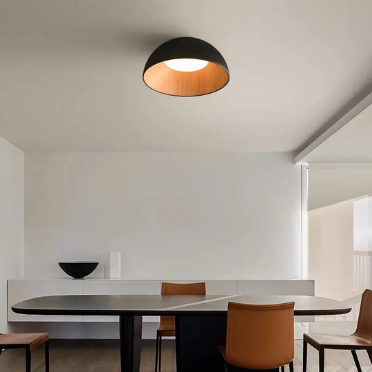 Потолочный светильник черный Elyrion, металл, 50*29 см, светодиодная, LED
