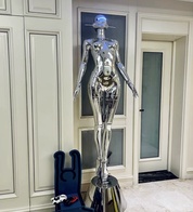 Торшер Cyberwoman хромированный, 207 см