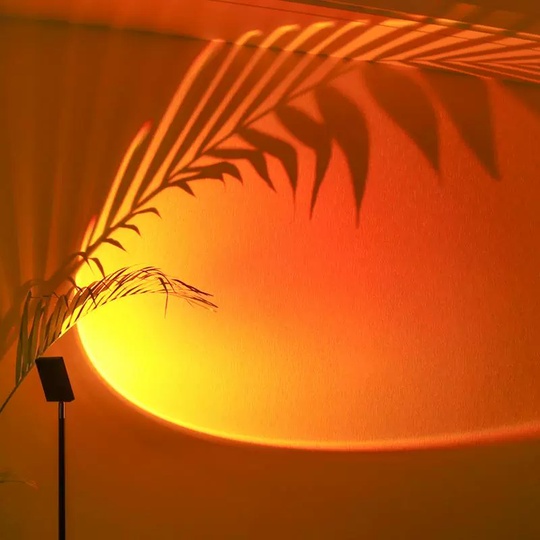 Торшеры черный Elyquo, 15*15*160 см, LED, металл, 10 Вт
