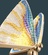 Настольная лампа бабочка BUTTERFLY Color, цветная