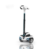 Сигвей INMOTION R1N