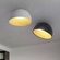 Потолочный светильник белый Eluviop, металл, 50*29 см, светодиодная, LED