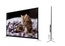 Телевизор 4K Ace 95" Black
